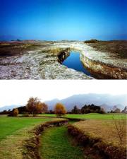 FOTOS DEL CAMPO