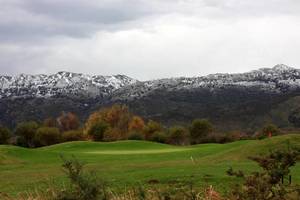 FOTOS DEL CAMPO