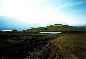 FOTOS DEL CAMPO