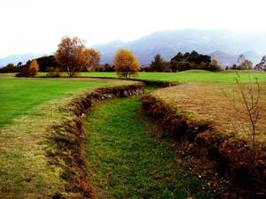 FOTOS DEL CAMPO